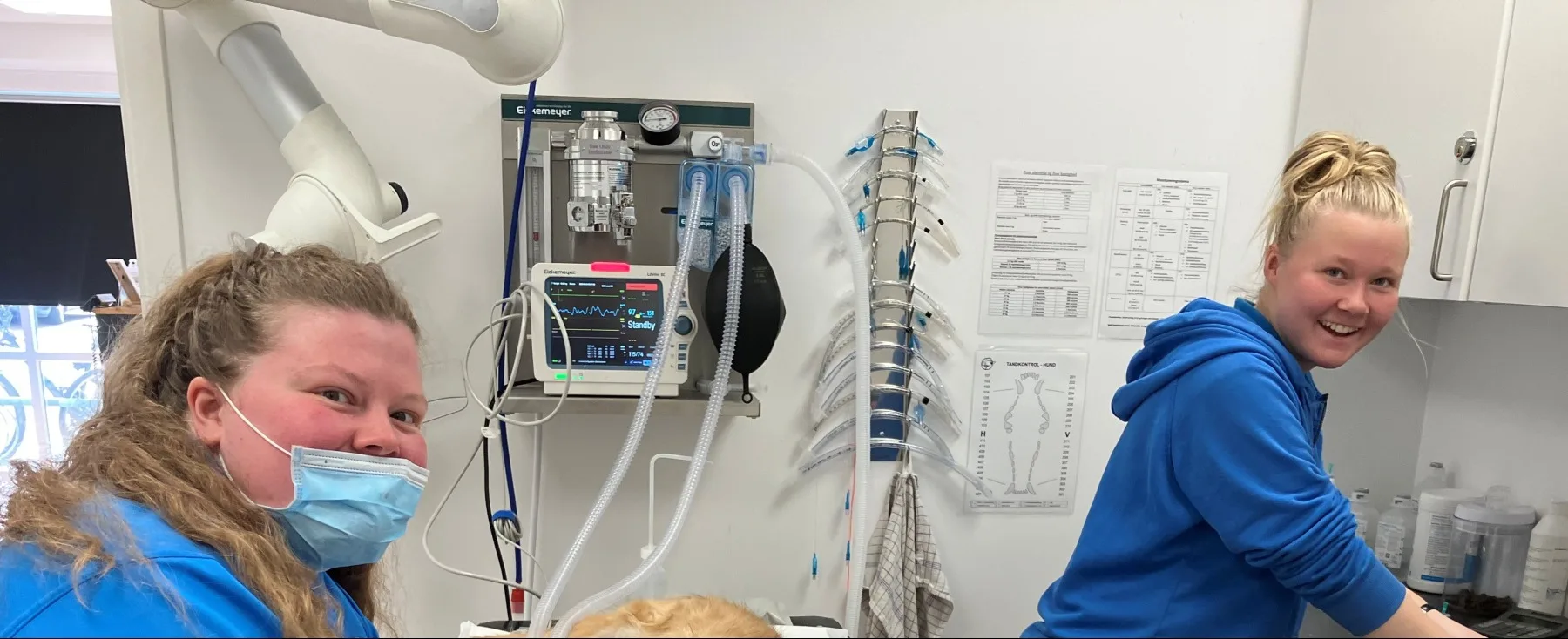 Billede fra klinikken 6