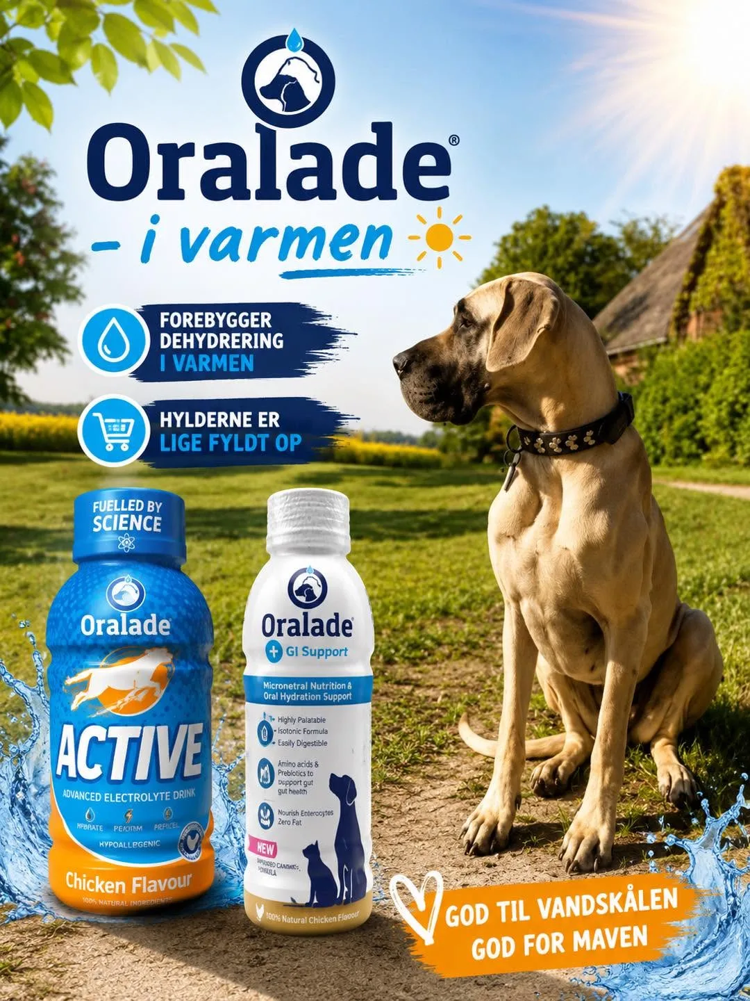 Husk væsken i sommer